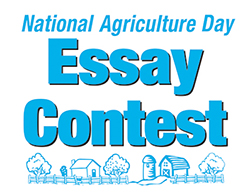 essay contest