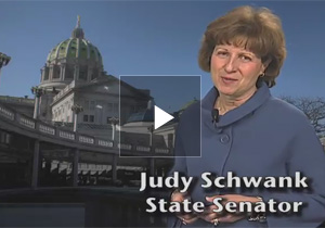 Video of Senator Schwank budget response