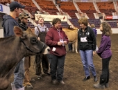 dairyshowmanship-schwank-d