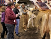 dairyshowmanship-schwank-f