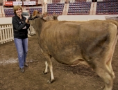 dairyshowmanship-schwank-g