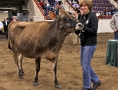 8 de enero de 2014: El senador Schwank participó en el Concurso VIP de Dairy Showmanship en el Pennsylvania Farm Show de 2014.