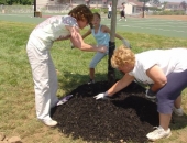 Senator Schwank tours Geisler Tree Farms