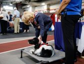 May 19, 2022: Senator Judy Schwank hosts a Veterans' Expo.  This event included information booths, free lunch, and a keynote address by Brigadier General Maureen Weigl, PA Deputy Adjutant General for Veterans Affairs.