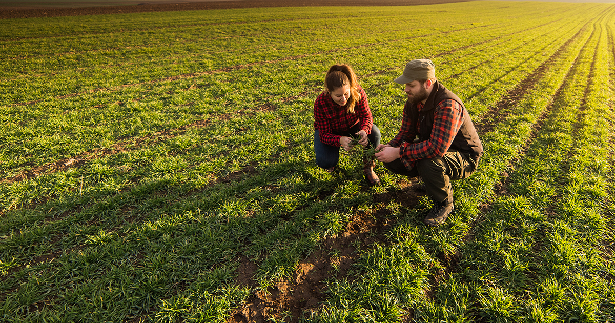 agricultores