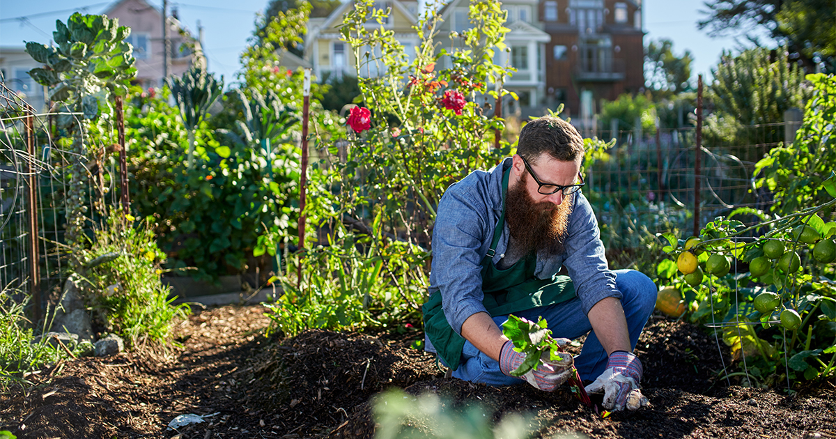 Urban Farming