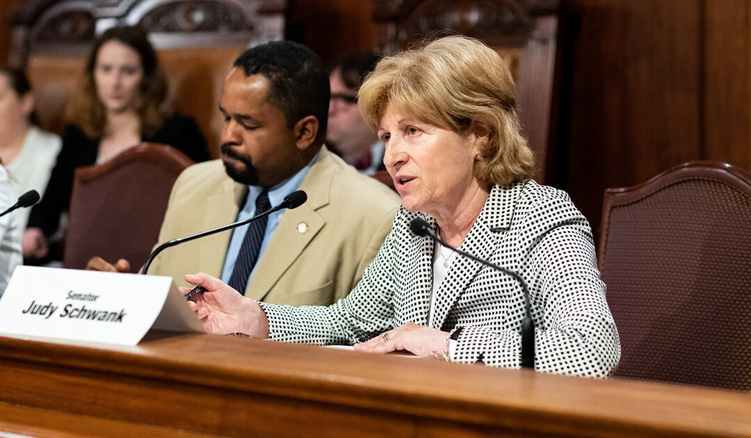 Senadora Judy Schwank