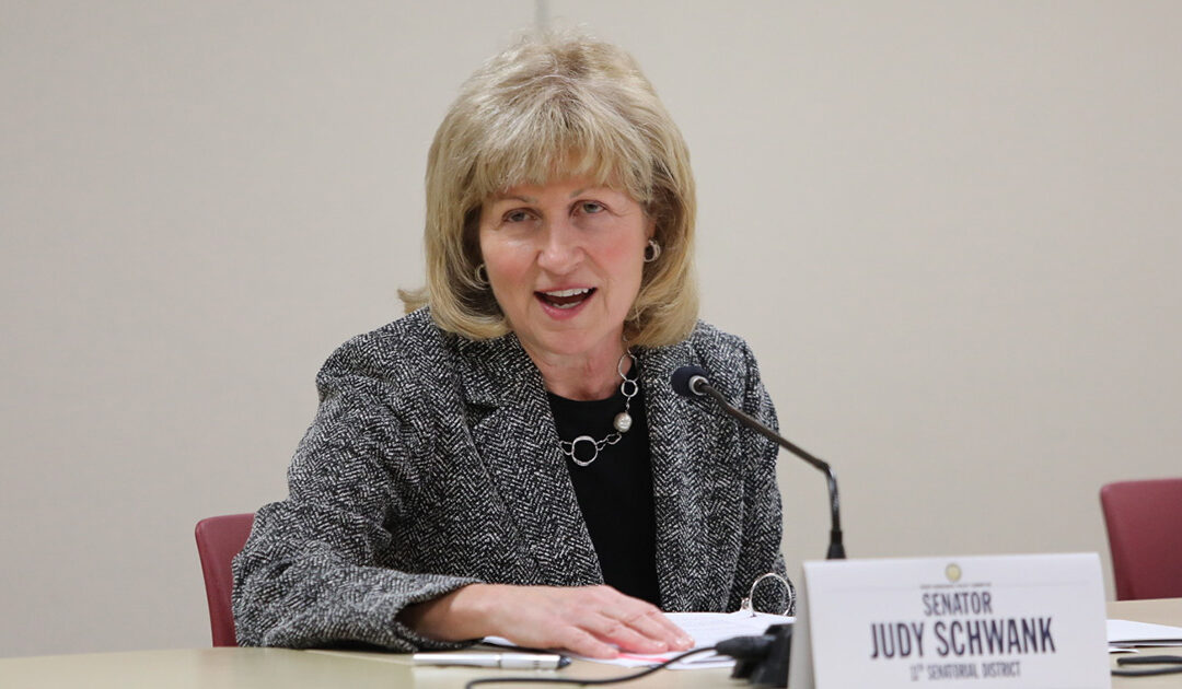 Senadora Judy Schwank