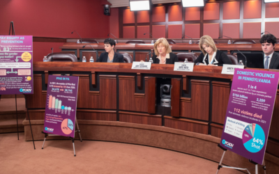 Los demócratas del Senado debaten en el Capitolio sobre la concienciación y la financiación de la violencia doméstica